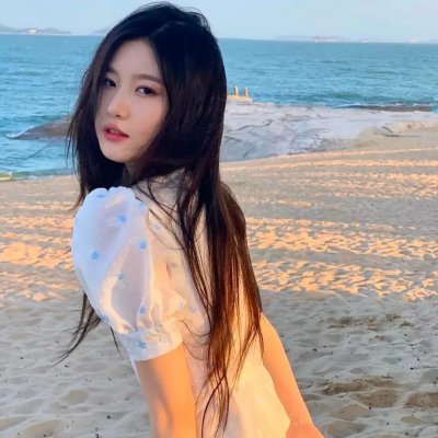 海豚的故事2